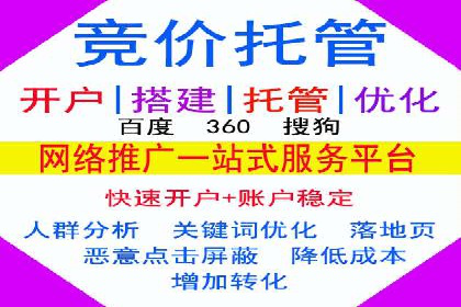 SEM代运营经典案例解析与启示